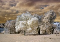 /album/fotogaleria-fotografia-infraroig/cami-de-ronda-sant-pol-153-640x480-jpg/